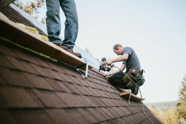 Best Roof Gutter Cleaning  in Second Mesa, AZ